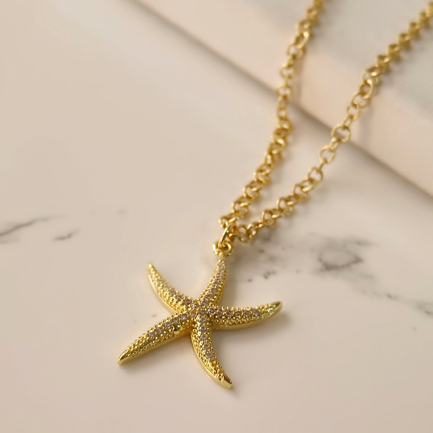 Conjunto Cadena y Colgante Estrella de Mar