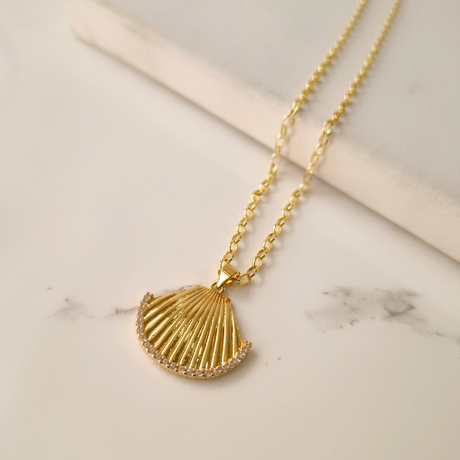 Conjunto Cadena y Colgante Conchita de Mar