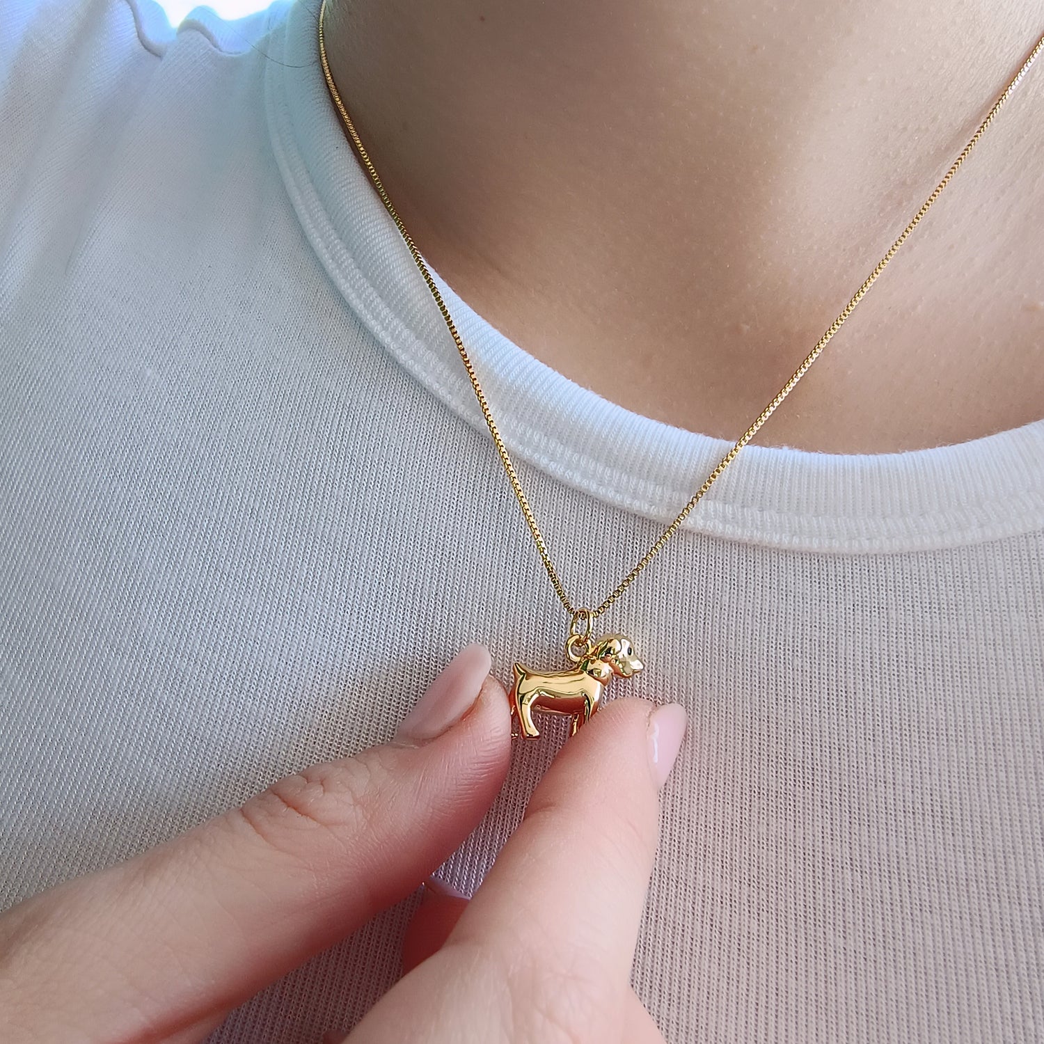 Conjunto Cadena y Colgante Perrito